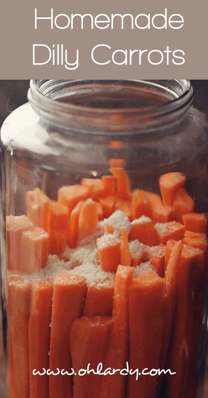 Fermented Dilly Carrots - www.ohlardy.com