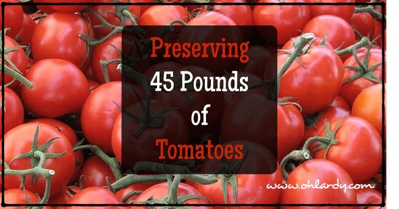 Preserving 45 Pounds of Tomatoes - www.ohlardy.com