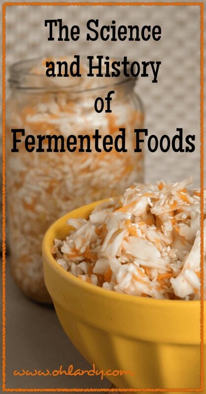 The Science and History of Fermented Food - www.ohlardy.com