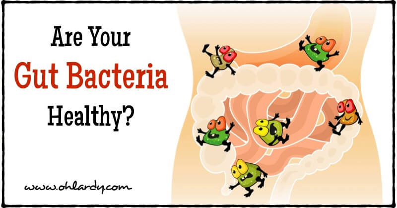 Are Your Gut Bacteria Healthy? - www.ohlardy.com