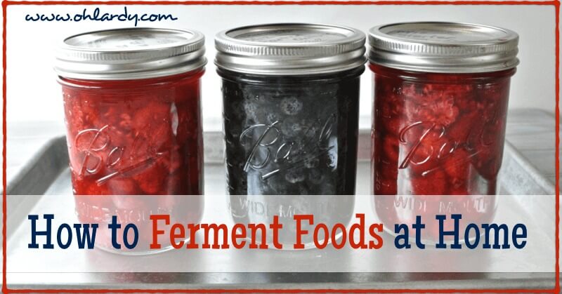 How to Ferment Fruits and Vegetables at Home - www.ohlardy.com
