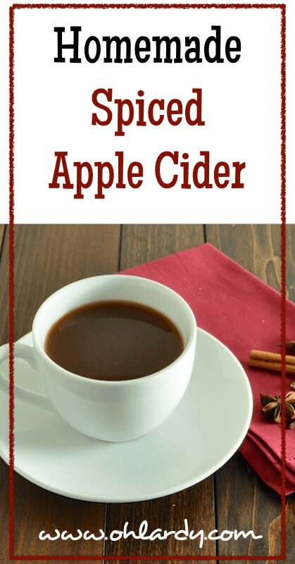Homemade Spiced Apple Cider - www.ohlardy.com