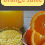 Fermented Orange Juice - www.ohlardy.com