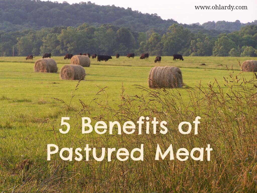 5 Benefits of Pastured Meat