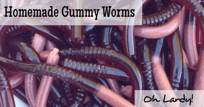 Homemade Gummy Worms - www.ohlardy.com