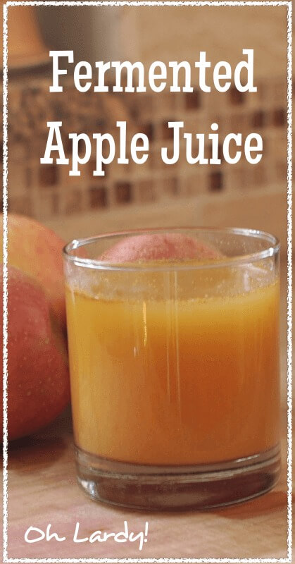 Fermented Apple Juice - www.ohlardy.com