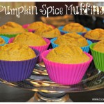 Grain Free Pumpkin Spice Muffins - www.ohlardy.com