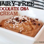 Chocolate Chia Dairy Free Ice Cream - www.ohlardy.com