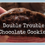 Double Trouble Chocolate Cookies - www.ohlardy.com