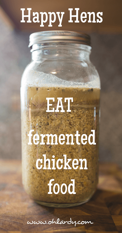 Fermented Chicken Feed