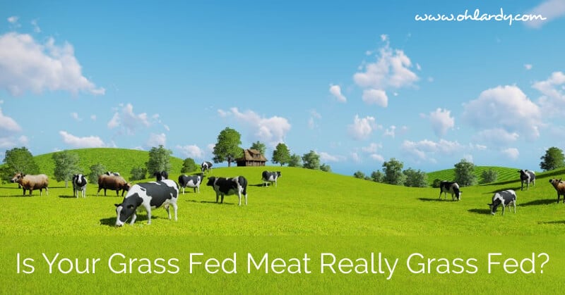 Is your grass fed meat really grass fed?