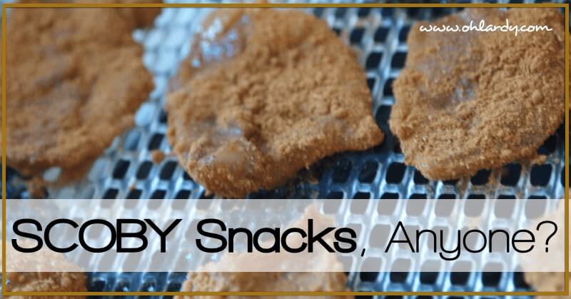 SCOBY Snacks - www.ohlardy.com