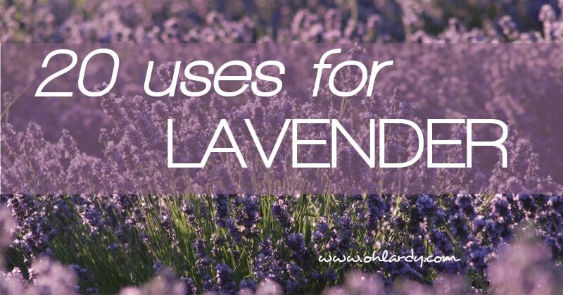 20 Ways to Use Lavender Oil