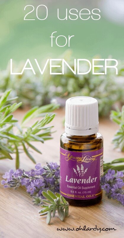 20 uses for lavender - ohlardy.com