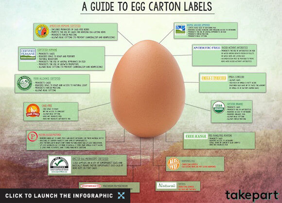 Guide to Egg Labels