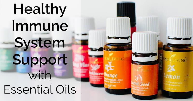 Support a healthy immune system with essential oils - www.ohlardy.com