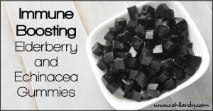 Immune Support Elderberry and Echinacea Gummies