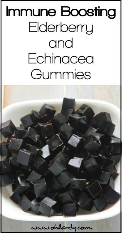 Immune Support Elderberry and Echinacea Gummies