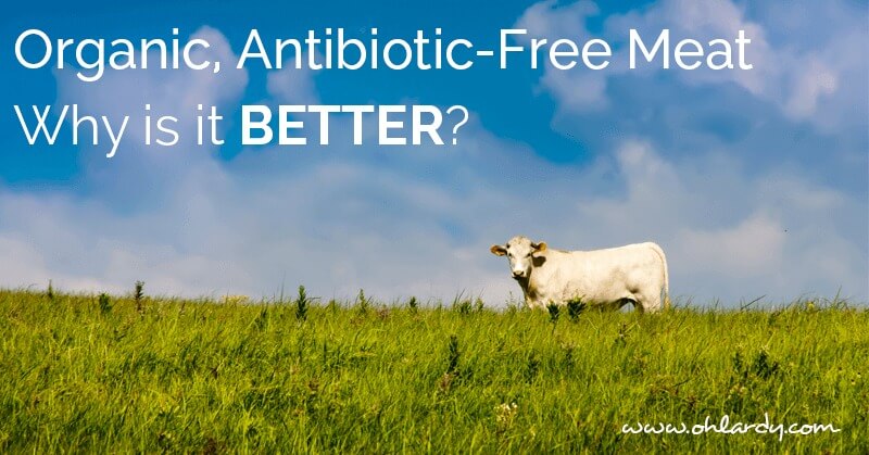 Organic, Antibiotic-free Meat: Why is it Better?