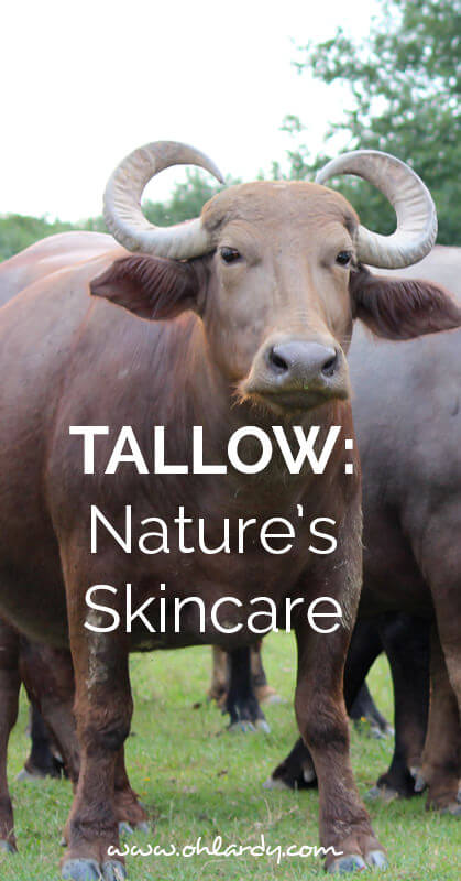 Using Tallow to soften your skin. It is an amazing product. Nature's Skincare! Right now Buffalo Girl GrassFed Beauty is offering Oh Lardy readers 10% off her awesome tallow skin care products! Click here to get the coupon code!