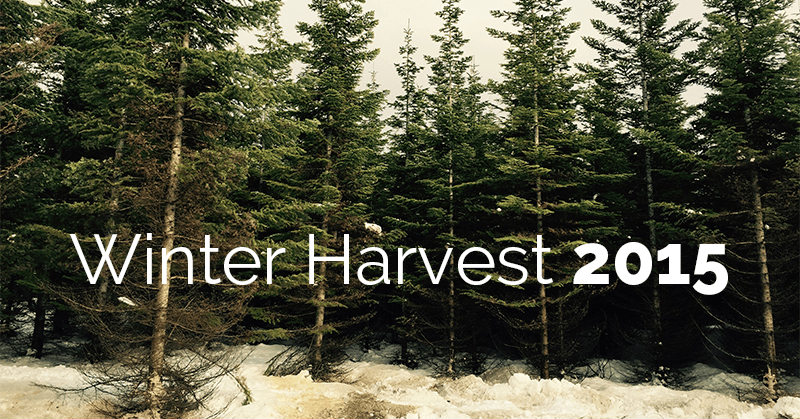 Winter Harvest 2015