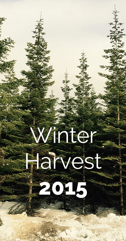 Winter Harvest 2015