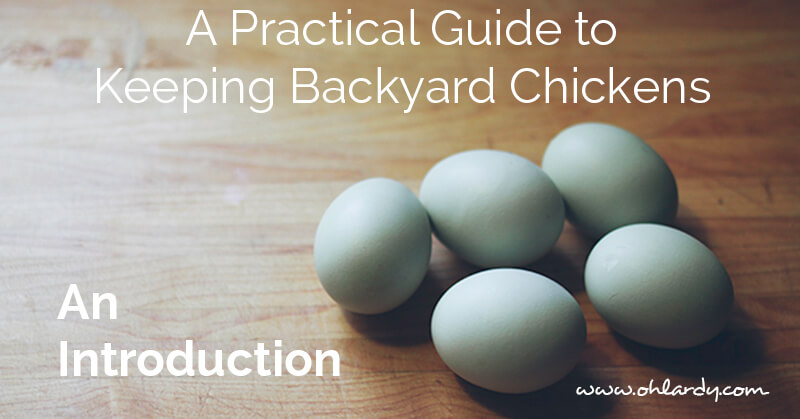 A Practical Guide to Keeping backyard chickens, an intro - ohlardy.com
