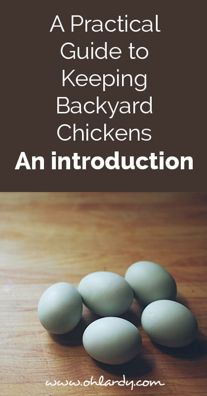 A Practical Guide to Keeping backyard chickens, an intro - ohlardy.com