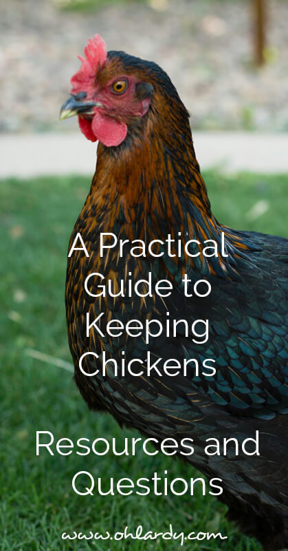 A Practical Guide to Keeping Backyard Chickens - Resources and Questions