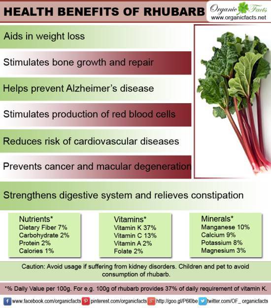 Health Benefits of Rhubarb