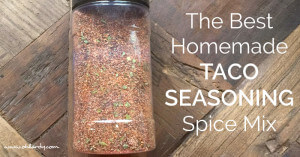 The Best Homemade Taco Seasoning - www.ohlardy.com