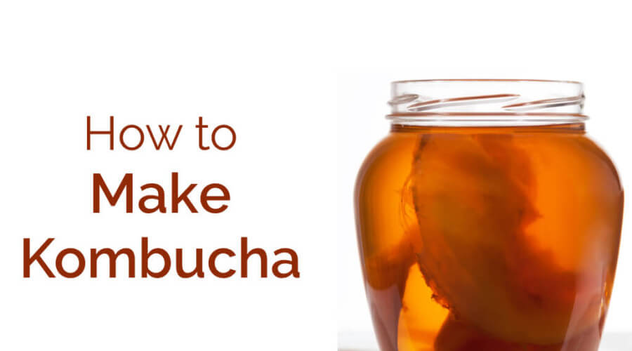 How to Easily Make Kombucha Tea - www.ohlardy.com