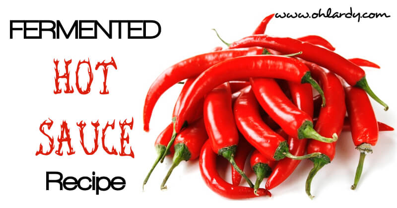 Fermented Hot Sauce Recipe - www.ohlardy.com
