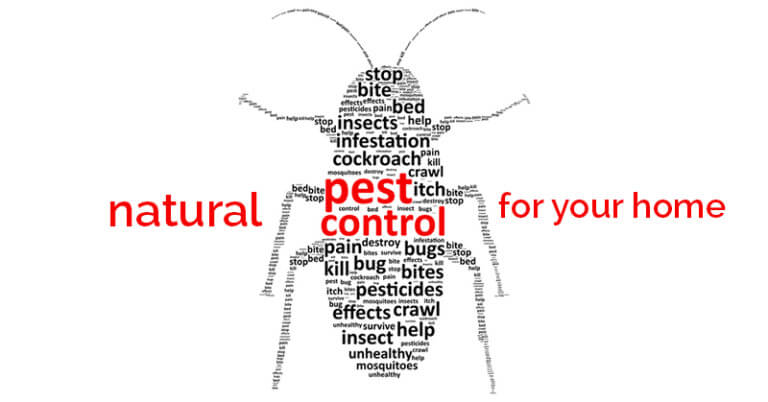 Natural Pesticides for your Home