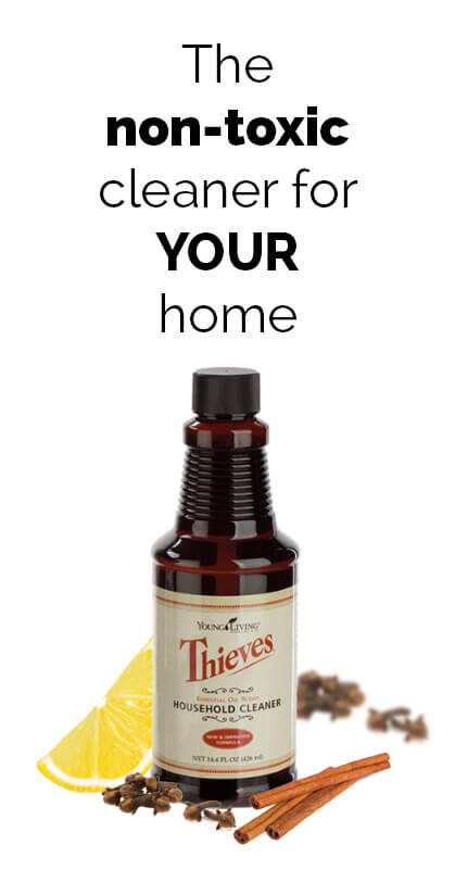 non-toxic cleaner for your home - ohlardy.com