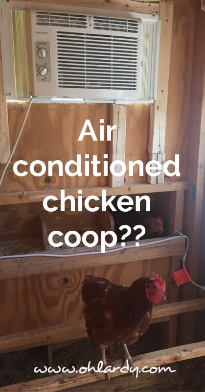 An air conditioner in the chicken coop