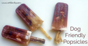 Dog Friendly Popsicles - Nourishing Ingredients