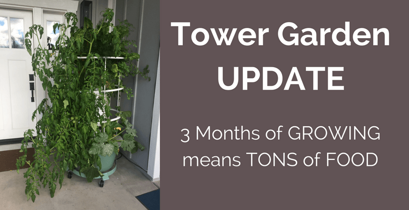 Tower Garden Update